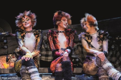 CATS – der Musical Welterfolg kehrt nach Wien zurück